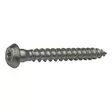 ANKKURIRUUVI 4,8X40MM RUSPERT 250KPL/LTK NAULALEVYRUUVI TX20 - Naulauslevyt - 5850 - 1