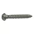 ANKKURIRUUVI 4,8X40MM RUSPERT 250KPL/LTK NAULALEVYRUUVI TX20 - Naulauslevyt - 5850 - 1