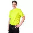 - - - 3