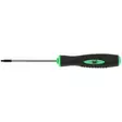 RUUVITALTTA T10X80MM - Ruuvitaltat - 8892 - 1