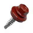 KATERUUVI RR29 4,8X28MM PORAKÄRKI PUNAINEN 250KPL/LTK - Kateruuvit - 5844 - 1