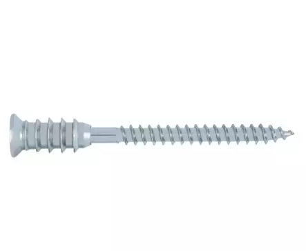 KARMIRUUVI KIVELLE 6X70MM 100KPL/LTK - Karmiruuvit ja karmitulpat - 6145 - 1