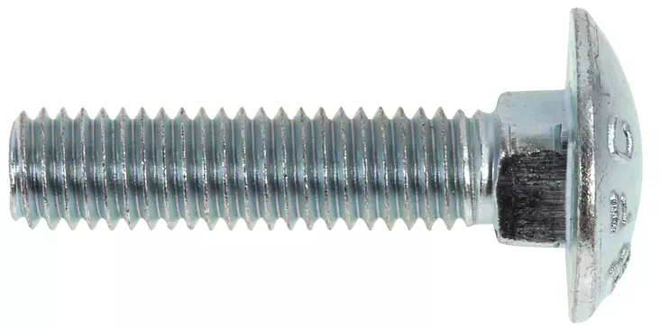 LUKKOKANTAPULTTI M8X30 4.8 200KPL DIN603 - Lukkokantapultit - 1348 - 1